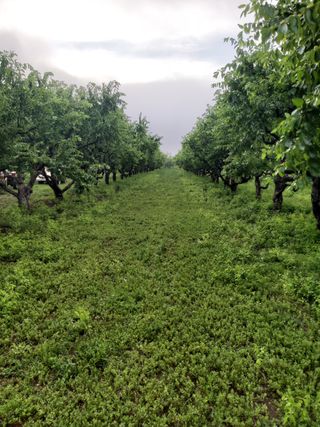 손윤영/수채화농원님의 자유주제 · 자유게시판 작성글 사진