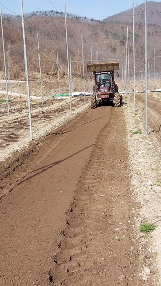 손윤영/수채화농원님의 자유주제 · 자유게시판 작성글 사진