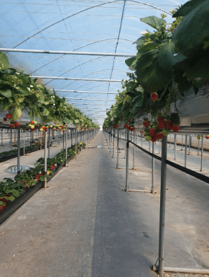 한희숙님의 하우스정보 · 시공사례•후기 작성글 사진