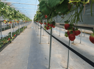 한희숙님의 하우스정보 · 시공사례•후기 작성글 사진