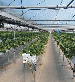 한희숙님의 하우스정보 · 시공사례•후기 작성글 사진