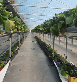 한희숙님의 하우스정보 · 시공사례•후기 작성글 사진