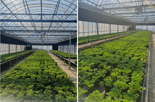 한희숙님의 하우스정보 · 시공사례•후기 작성글 사진