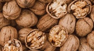 도기백님의 기타작물 · 자유게시판 작성글 사진