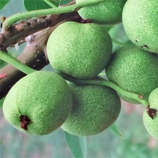 도기백님의 기타작물 · 자유게시판 작성글 사진