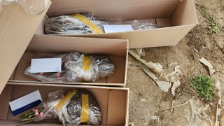 도기백님의 기타작물 · 자유게시판 작성글 사진