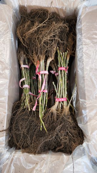 도기백님의 기타작물 · 자유게시판 작성글 사진