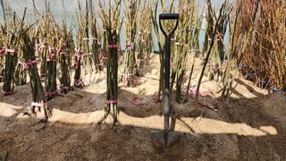 도기백님의 기타작물 · 자유게시판 작성글 사진