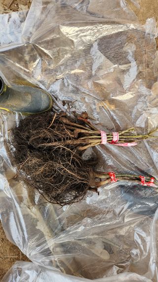 도기백님의 기타작물 · 자유게시판 작성글 사진