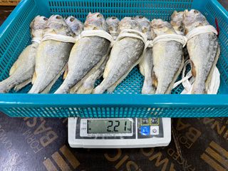 목포 물좋은수산님의 작성글 사진