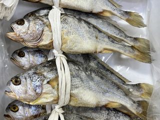 목포 물좋은수산님의 작성글 사진