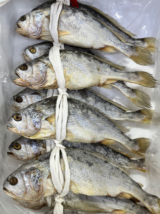 목포 물좋은수산님의 작성글 사진