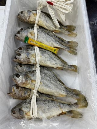 목포 물좋은수산님의 작성글 사진