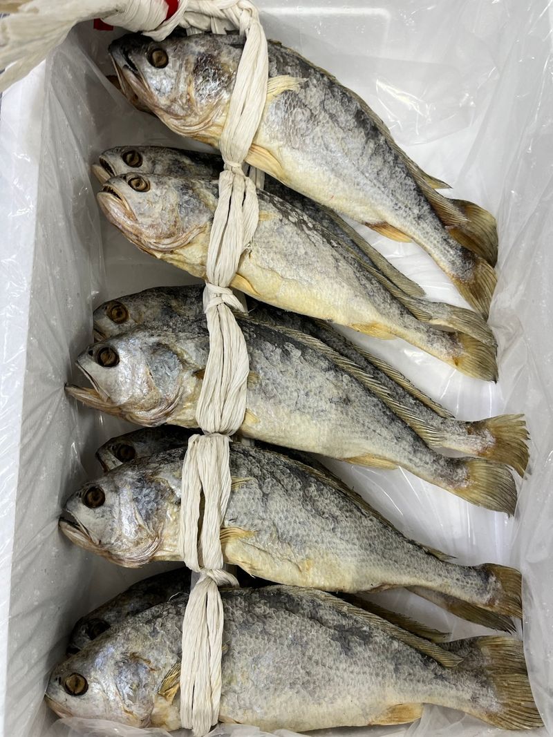 목포 물좋은수산님의 장터 판매 상품 [⭐인기상품⭐ 보리굴비] 첨부 사진