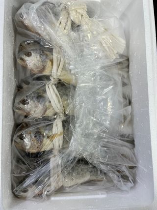 목포 물좋은수산님의 작성글 사진