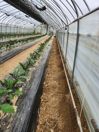 은수 은서아빠^^♡님의 자유주제 · 자유게시판 작성글 사진