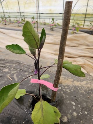 은수 은서아빠^^♡님의 자유주제 · 자유게시판 작성글 사진