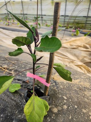 은수 은서아빠^^♡님의 자유주제 · 자유게시판 작성글 사진