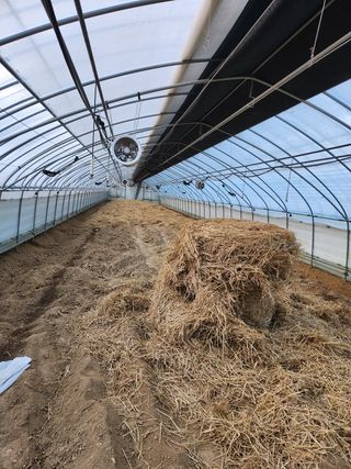 은수 은서아빠^^♡님의 자유주제 · 자유게시판 작성글 사진