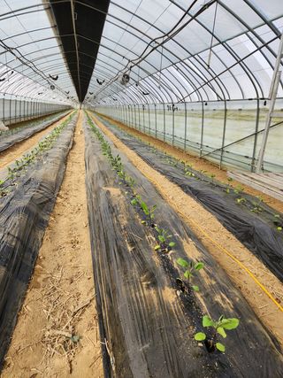 은수 은서아빠^^♡님의 자유주제 · 자유게시판 작성글 사진