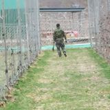 팜모닝 사과·묘목•접목 게시글 이미지