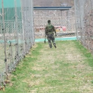 손윤영/수채화농원님의 사과 · 묘목•접목 작성글 사진