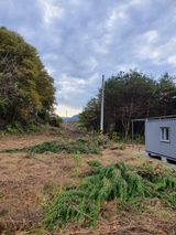 팜모닝 자유주제·사진전 게시글 이미지