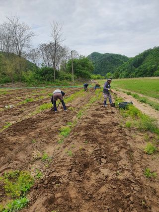 정의찬님의 자유주제 · 사진전 작성글 사진