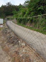 팜모닝 · 게시글 이미지