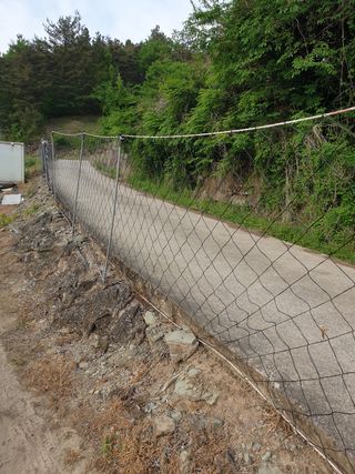 의성,군위 나상덕님의 작성글 사진