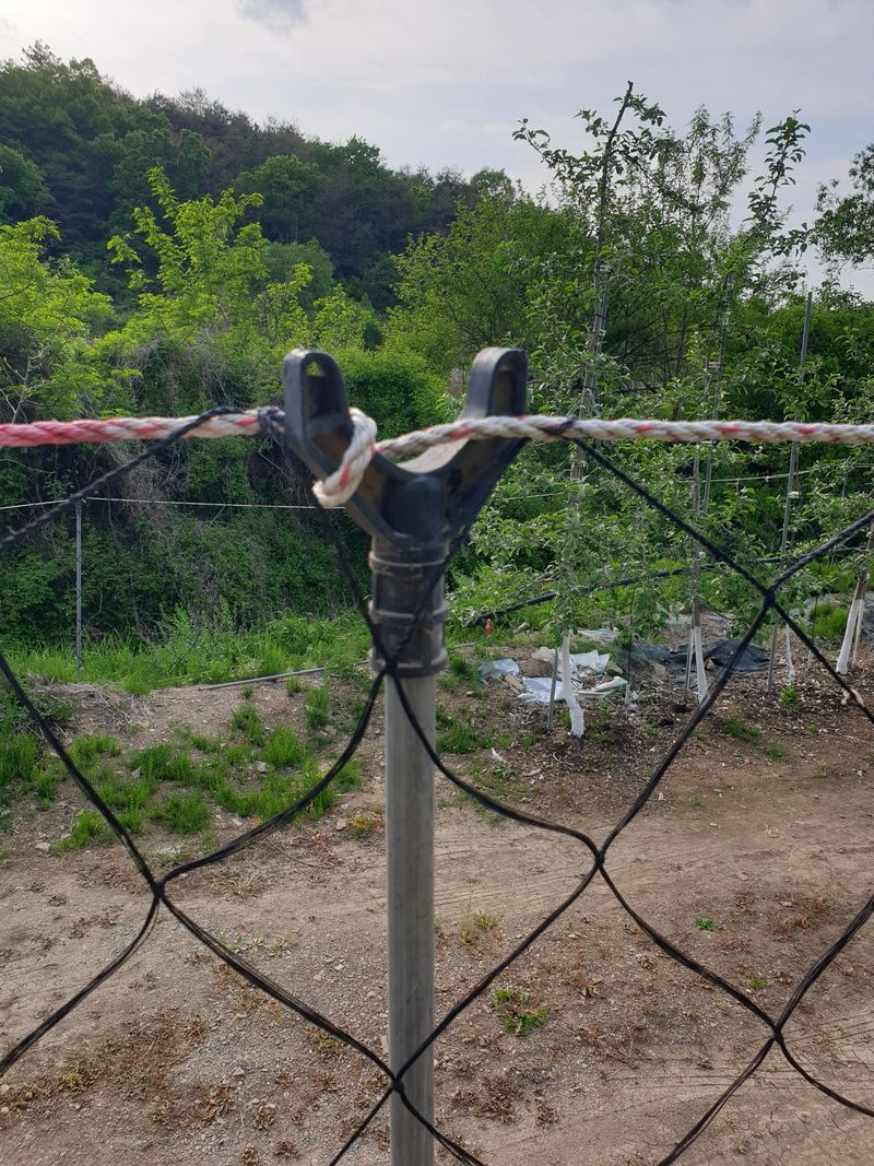 의성,군위 나상덕님의 장터 판매 상품 [해태망,(고라니,돼지 접근방지용) ] 첨부 사진