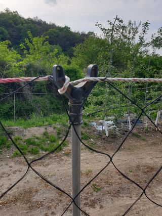 의성,군위 나상덕님의 작성글 사진