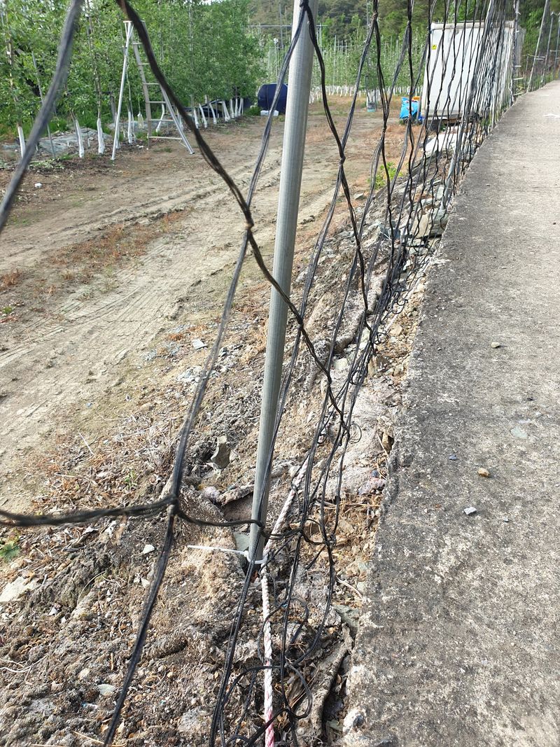 의성,군위 나상덕님의 장터 판매 상품 [해태망,(고라니,돼지 접근방지용) ] 첨부 사진