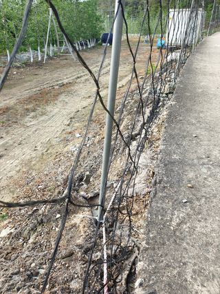 의성,군위 나상덕님의 작성글 사진