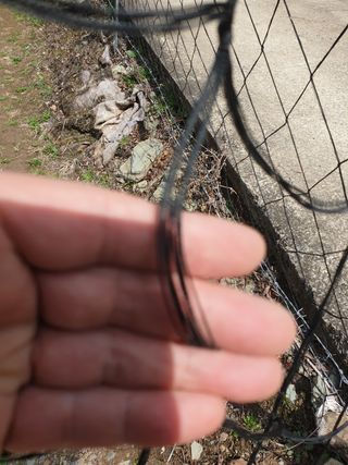 의성,군위 나상덕님의 작성글 사진