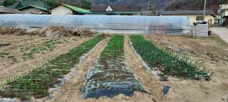 김준식님의 자유주제 · 사진전 작성글 사진