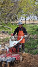 팜모닝 자유주제·자유게시판 게시글 이미지