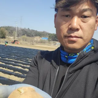 조범호님의 감자 · 자유게시판 작성글 사진