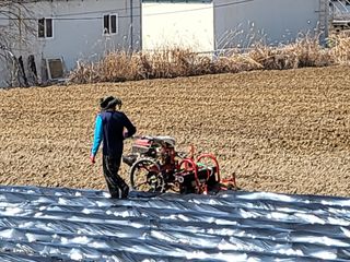 조범호님의 감자 · 자유게시판 작성글 사진