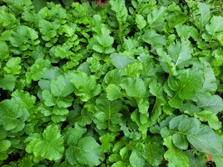 여울목님의 자유주제 · 자유게시판 작성글 사진