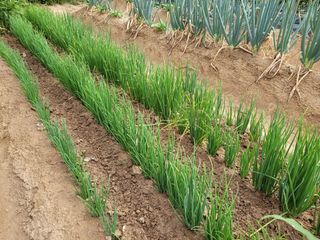 여울목님의 자유주제 · 자유게시판 작성글 사진