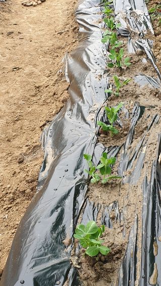 이경옥님의 자유주제 · 사진전 작성글 사진