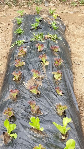 이경옥님의 자유주제 · 사진전 작성글 사진