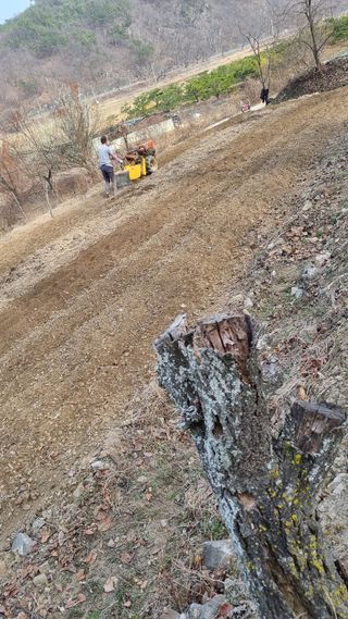 장순연(부경농원)님의 작성글 사진