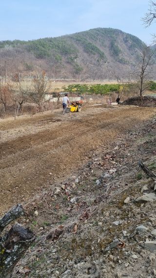 장순연(부경농원)님의 작성글 사진