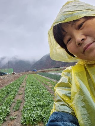장순연(부경농원)님의 작성글 사진