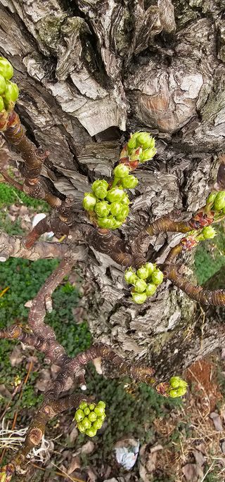 박진오님의 배 · 일상 작성글 사진