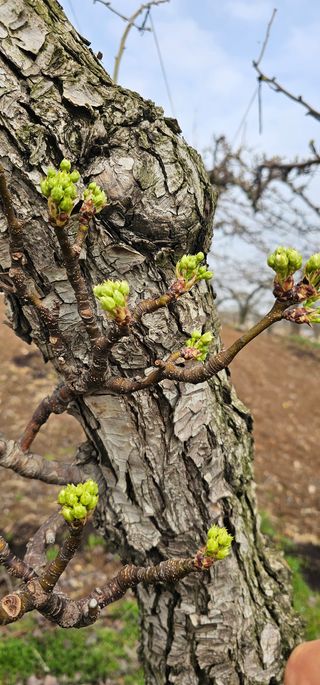 박진오님의 배 · 일상 작성글 사진