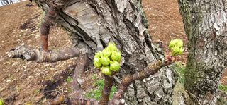 박진오님의 배 · 일상 작성글 사진