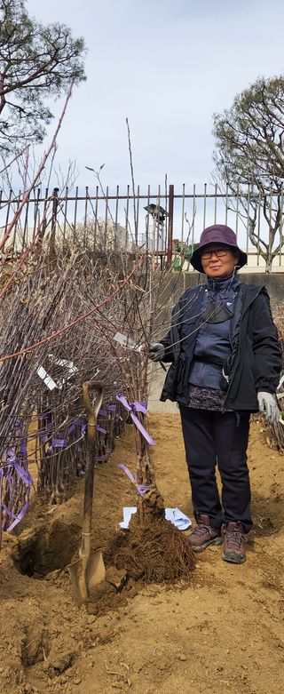 이영철님의 사과 · 일상 작성글 사진